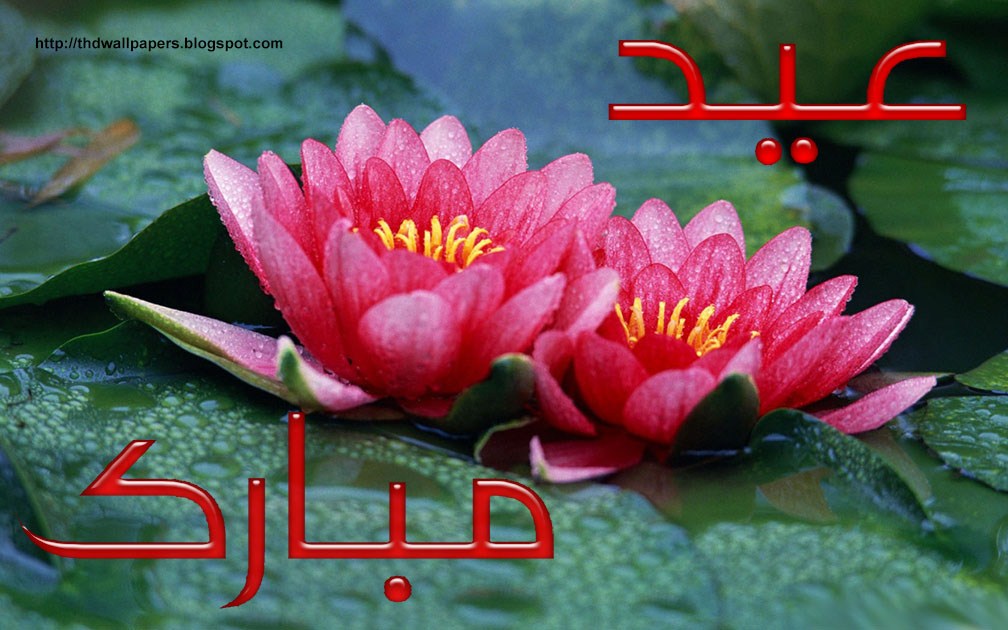 EidulAdha Zuha Mubarak 2012 Flowers Greeting Cards in Urdu 001