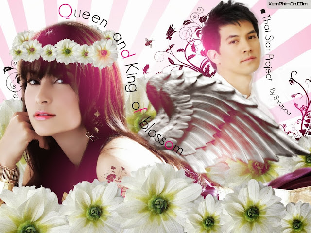 Tình Về Nơi Đâu Tình Về Nơi Đâu