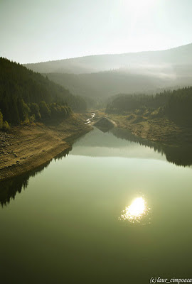 Transalpina  (DN 67C)