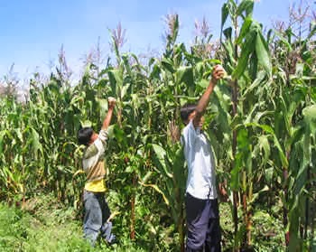 LA ESPERANZA DE LOS PUEBLOS