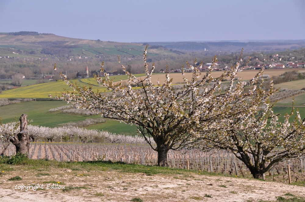 VUE SUR ESCOLIVES