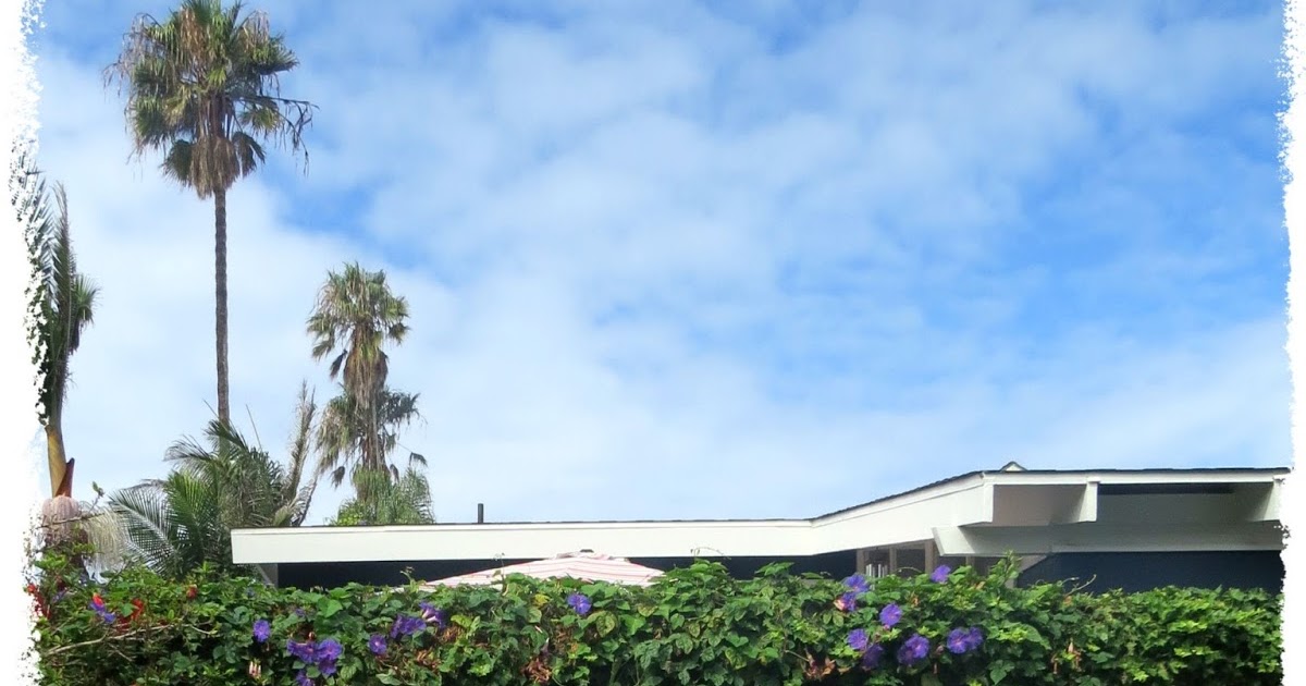 Art and Sand at a snail's pace