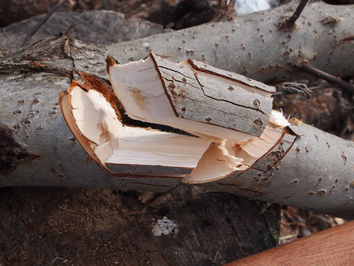 The wandering axeman Repairing chipped edges