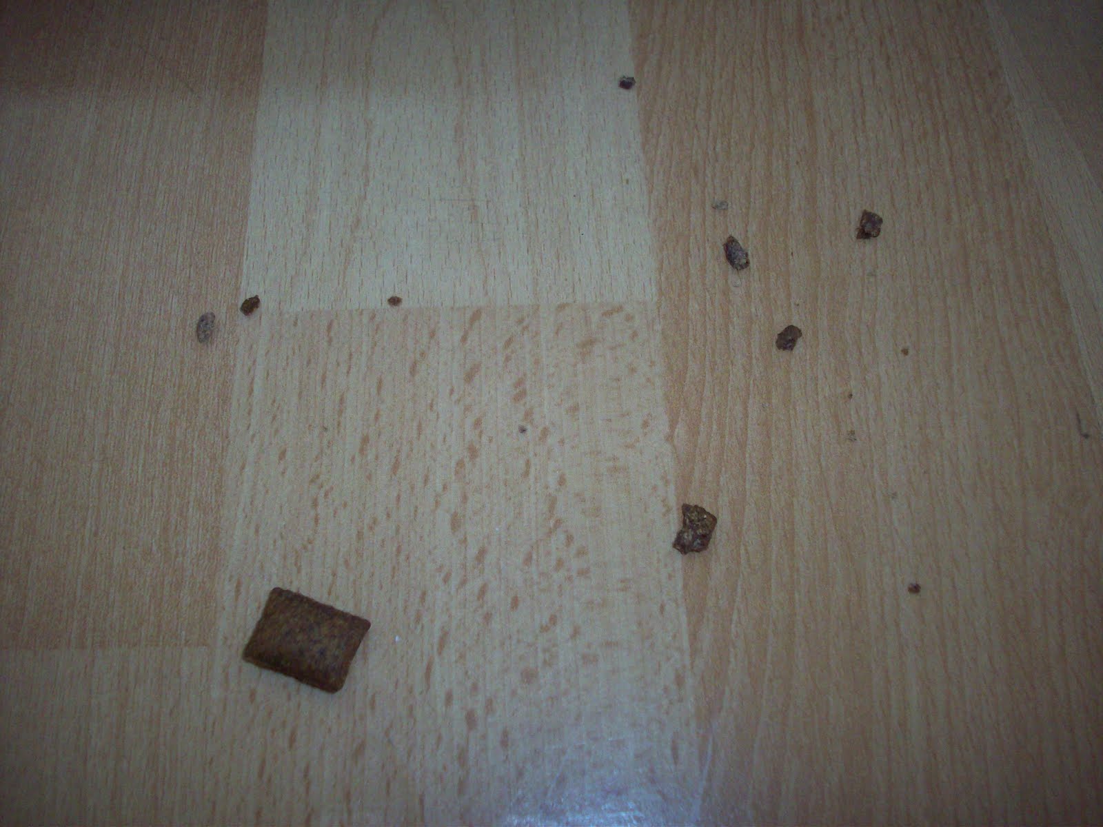 Stéphanies Shopping- und Testblog: Whiskas Anti-Hairball im Test