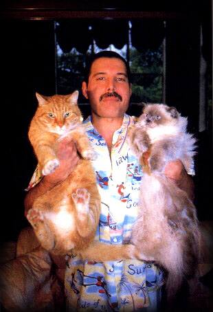Freddie Freddie