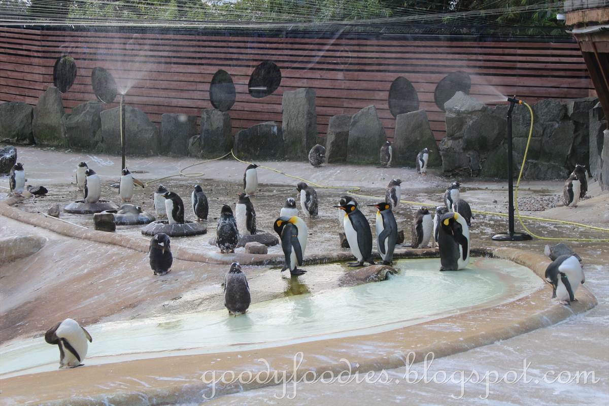 Edinburgh Zoo Meeting Rooms Edinburgh Zoo Meeting Rooms