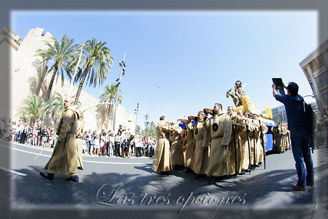 Domingo de Ramos con la tablet Domingo de Ramos, Elche 2014