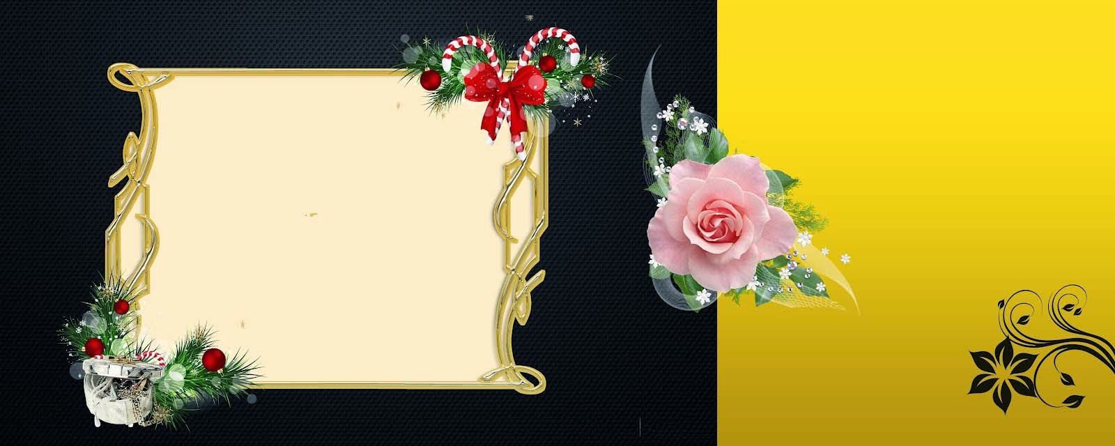 karizma album background photo