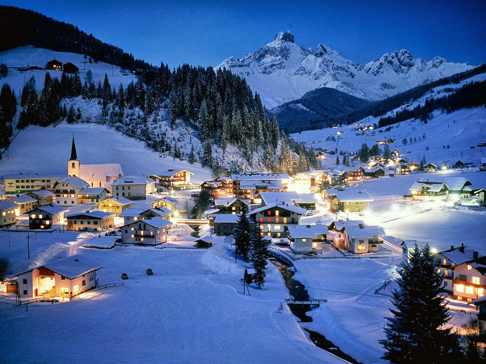 Nature Of Life Salzburg Austria