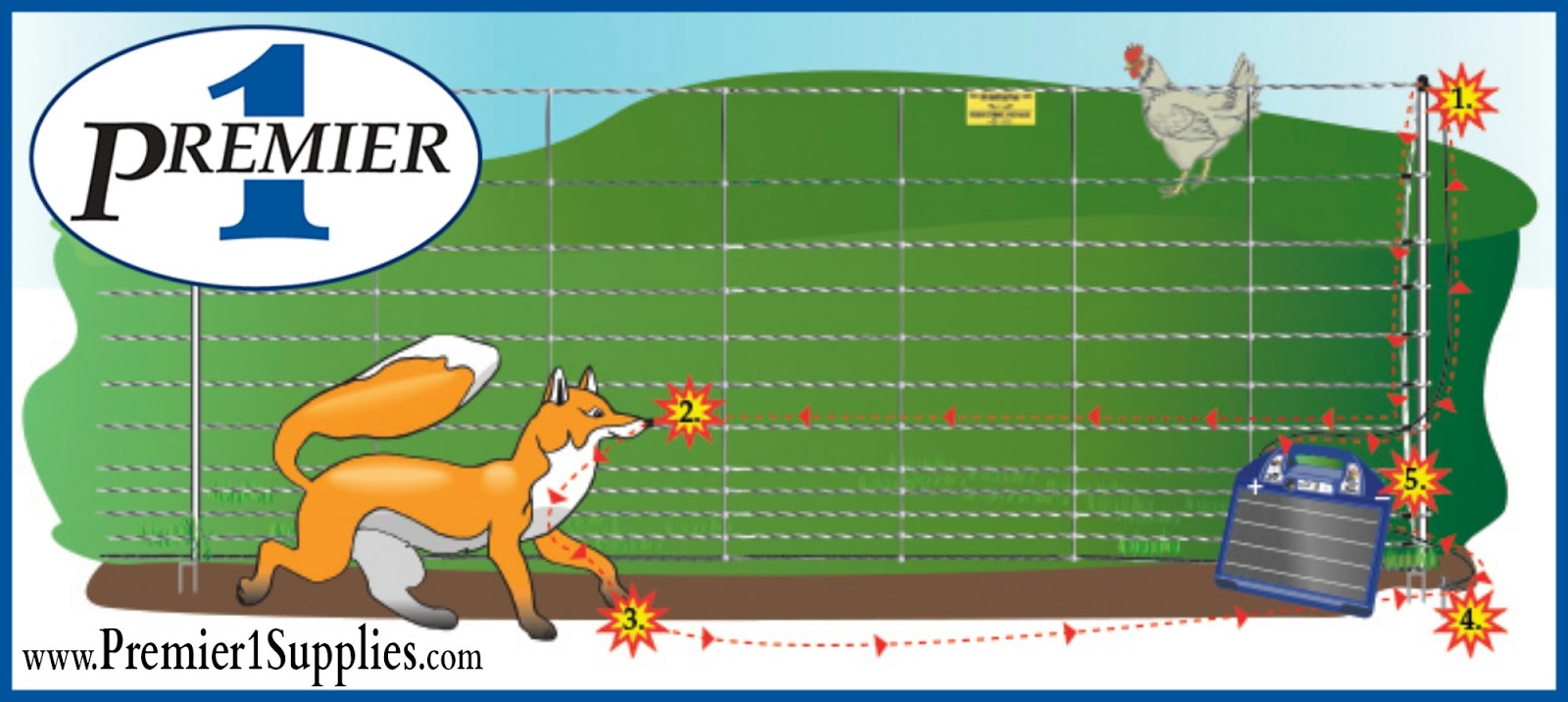 Portable Electric Poultry Netting The Chicken Chick®