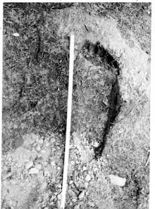 Onion Mountain Footprint, 1967