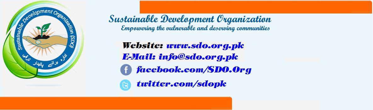 Sustainable Development Organization (SDO)