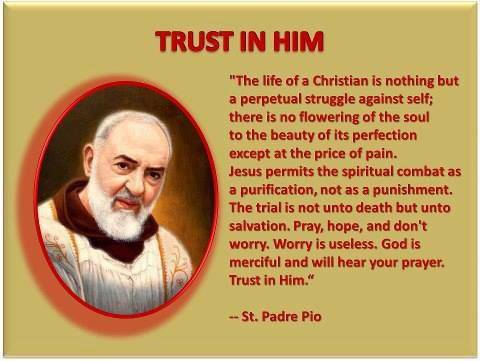 Little Plant of St. Francis: "Trust in Him" - St. Padre Pio Quote
