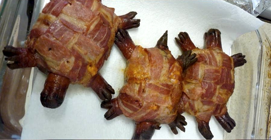 Can Turtles Eat Hot Dogs Can Turtles Eat Hot Dogs