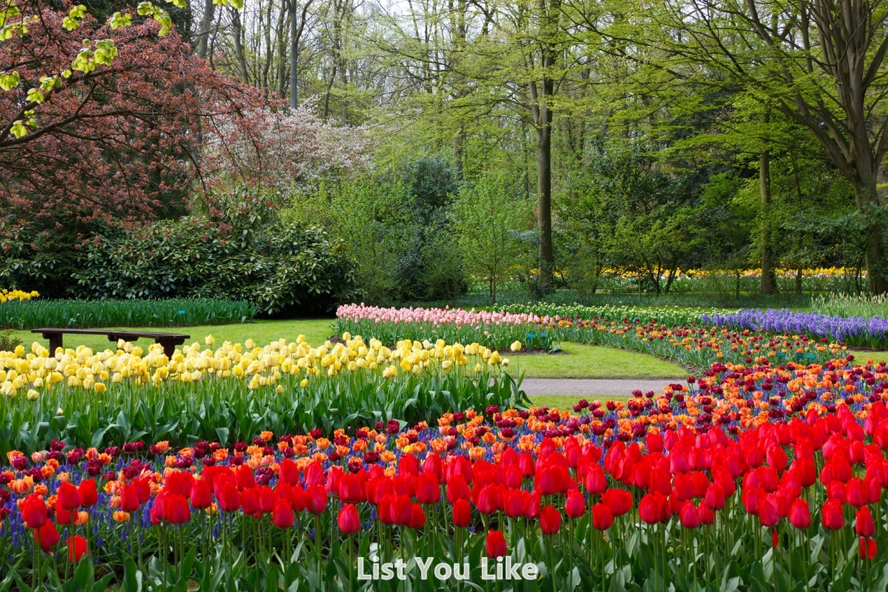 eleletsitz Top 10 Most Beautiful Gardens In The World Images