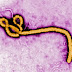 Ébola se sale de control en Africa: MSF 