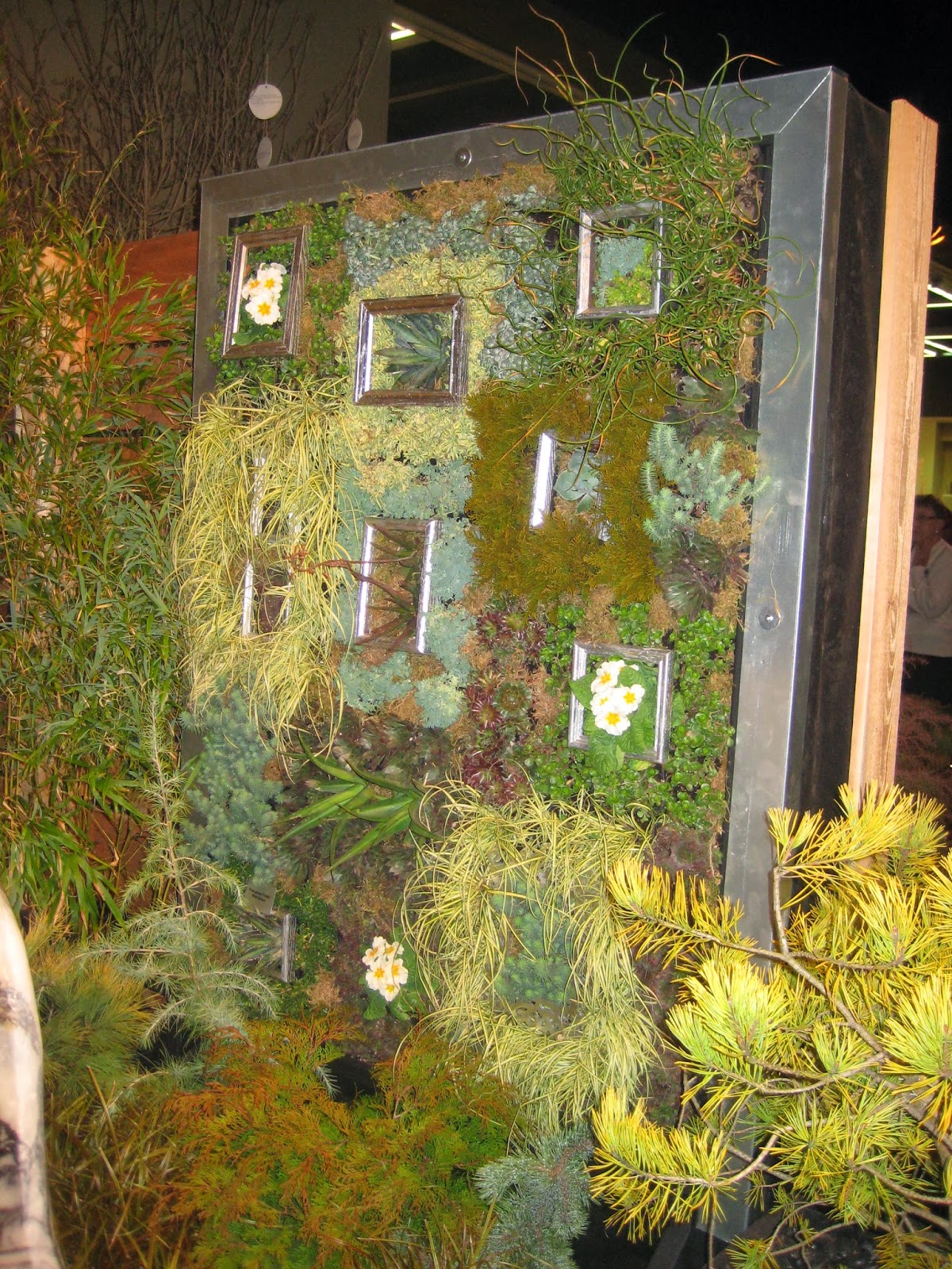 Garden show reports Sedum tiles Susan�s in the Garden