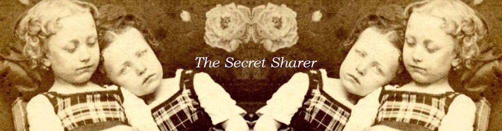 Secret Sharer