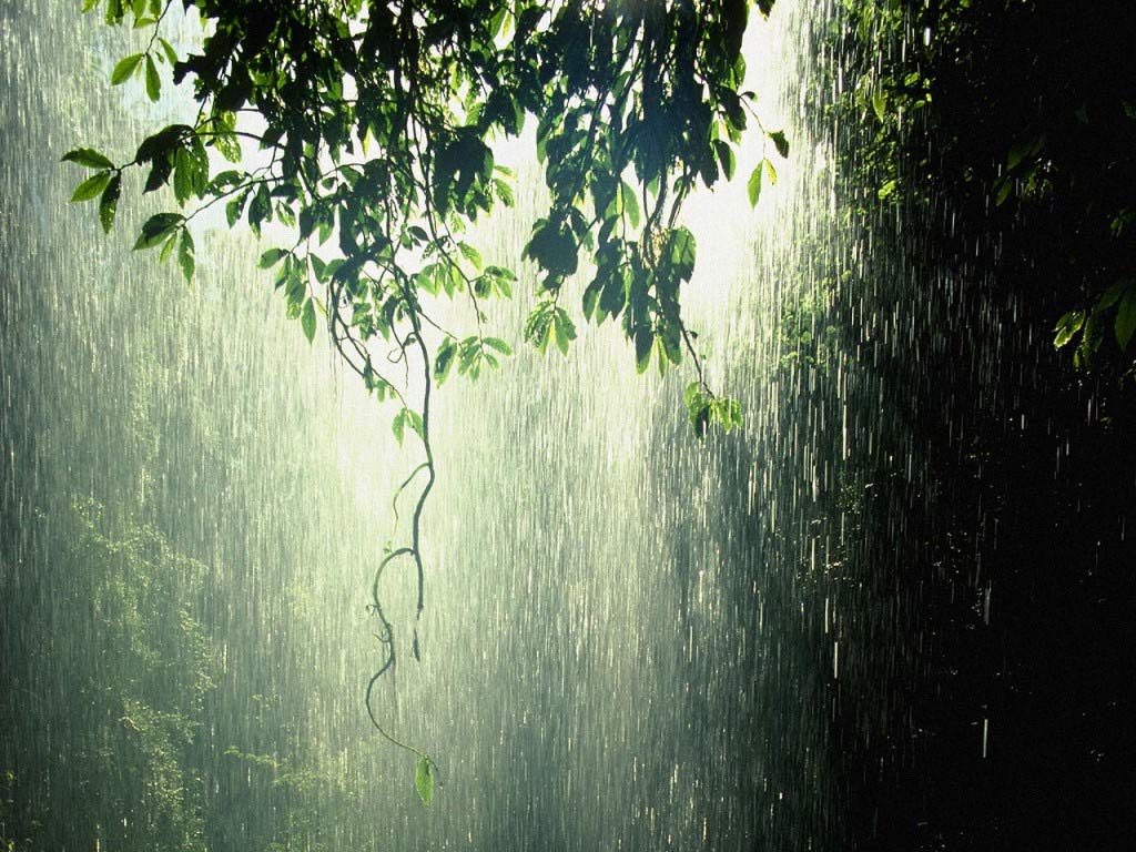 http://2.bp.blogspot.com/-1Rpm4yrFfWY/T-kXEd5N28I/AAAAAAAAI7w/dta2bv4V6nU/s1600/Rain%2Bwallpapers%2B01.jpg