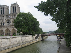 A Peek at Notre Dame Cathedral