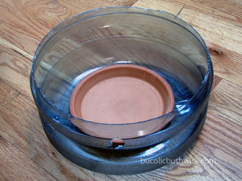 Bucolic Bushwick DIY Self Watering Container Water Cooler Bottle