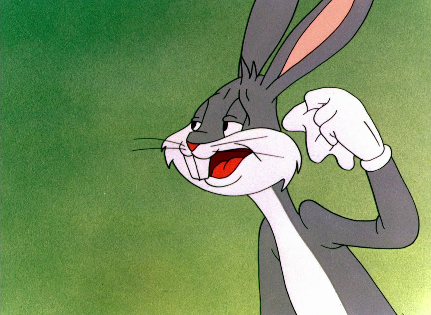 Looney Tunes Pictures: "Rabbit Transit"