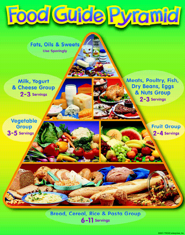 Regular Food Pyramid