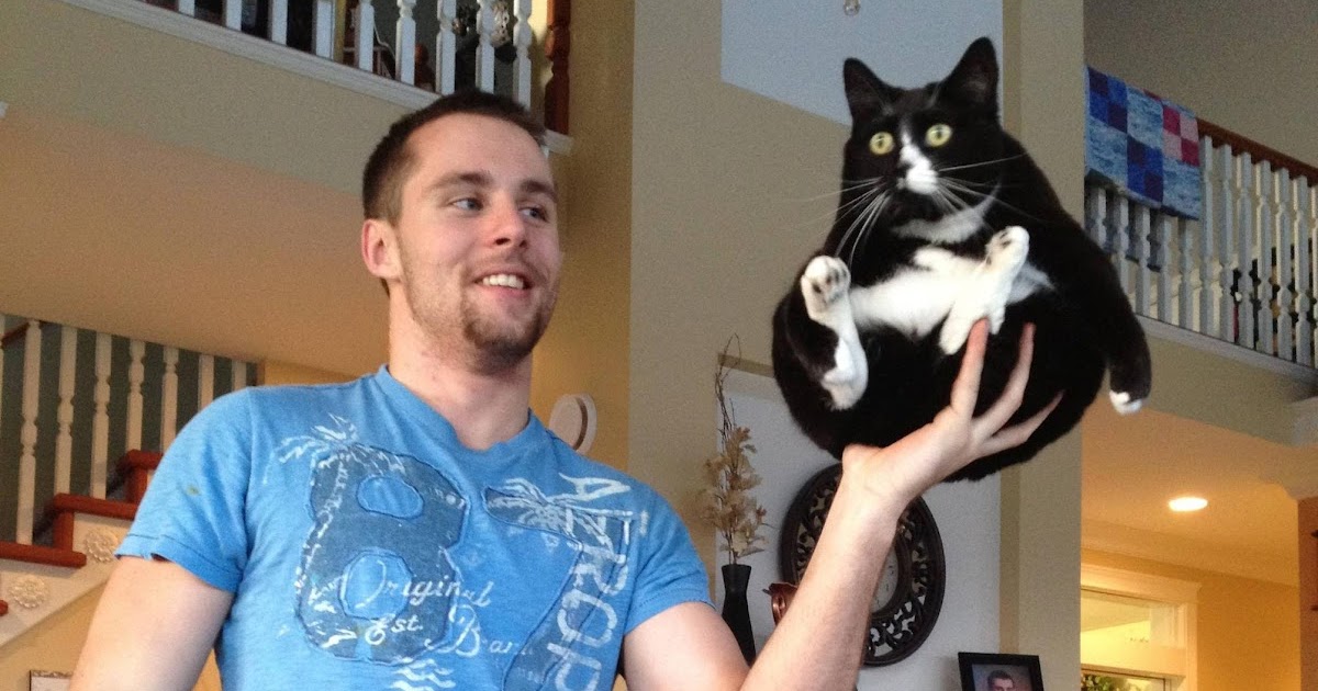 Miss Cellania How to Properly Hold a Cat