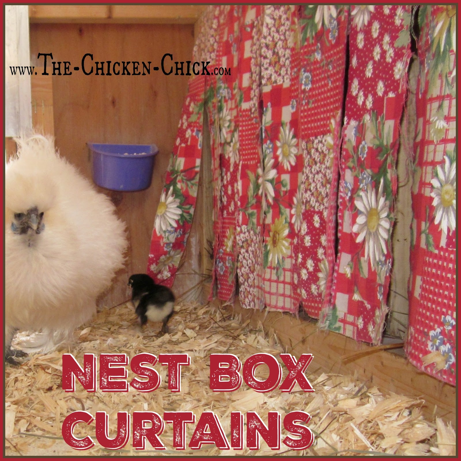 6+ Ways to Make Your Chicken Coop Merry and Bright! The Chicken Chick®