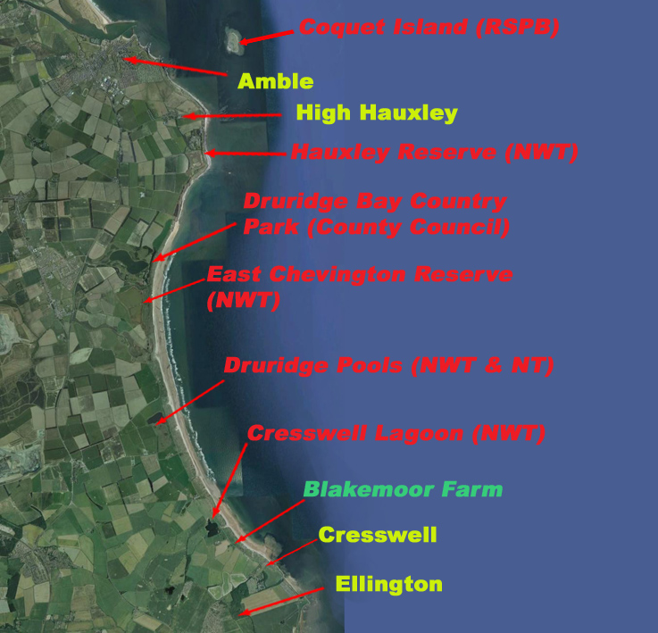 Ponds, time and place. A Druridge Bay Northumberland blog Druridge Bay