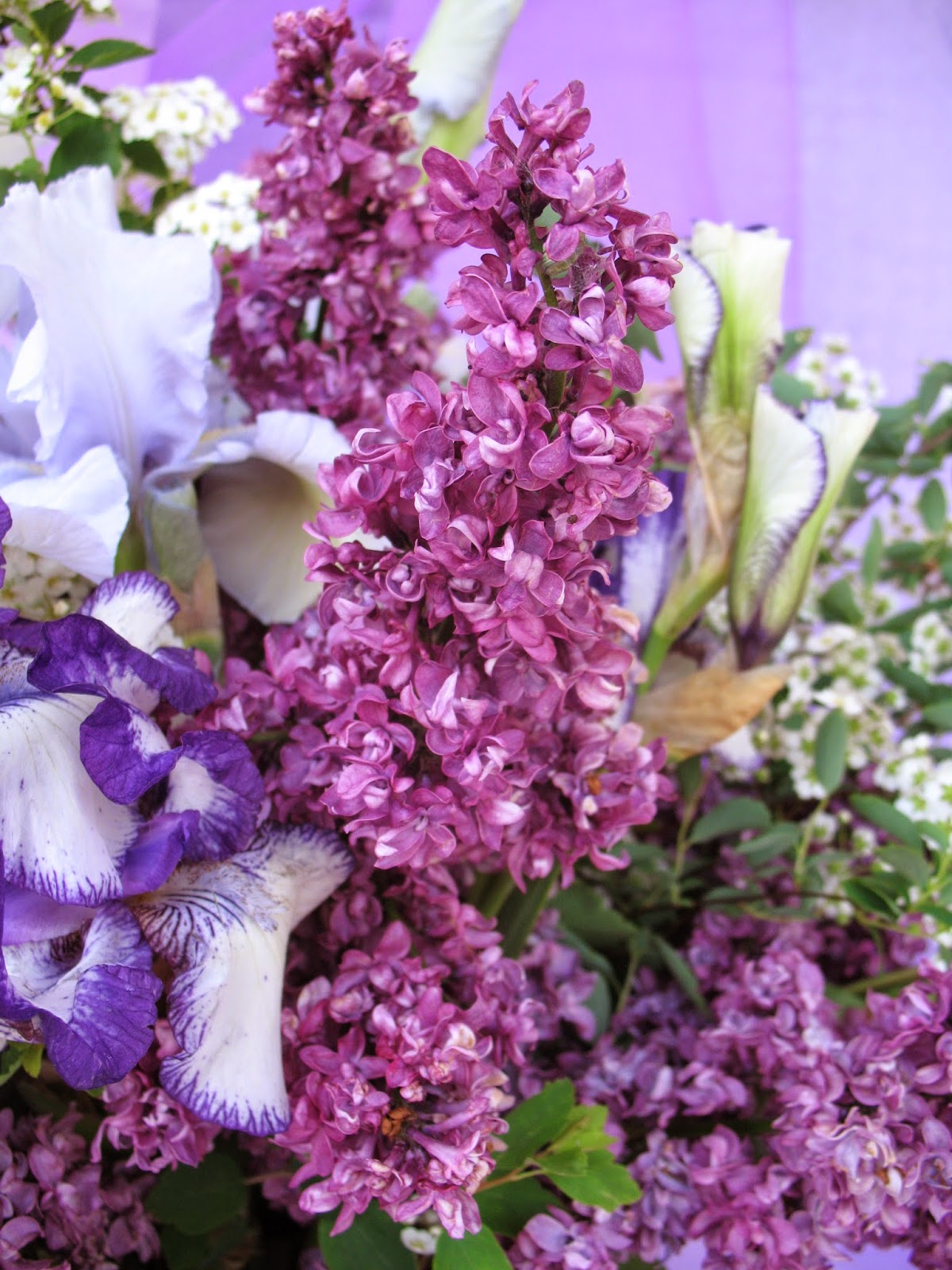 Catalogue Journees Des Plantes De Courson 2013 By Domaine De