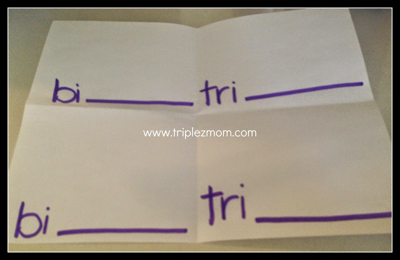 Reading Worksheet Alternatives |TripleZmom