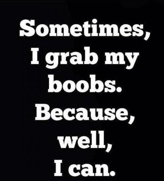 sometimes-i-grab-my-boobs-because-well-i-can+(Medium).jpg