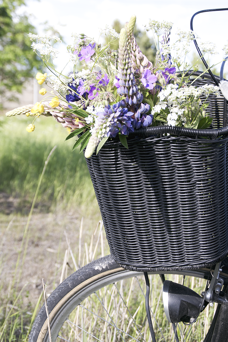 Baraetthem: bara längs med vägen blommor