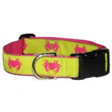 Personlized Dog Collar Amazon Personlized Dog Collar Amazon