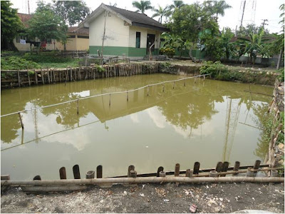 PEMANFAATAN LAHAN KOSONG KORAMIL-13/SUKODONO PEMANFAATAN LAHAN KOSONG KORAMIL-13/SUKODONO