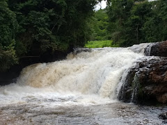 Véu de noiva - Mandaguari-PR