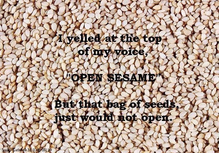 funny poems about life poems about life. funny poems about life