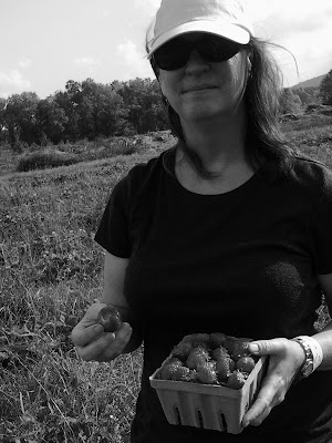 Theresa McGallicher Loudoun County Limbo strawberries