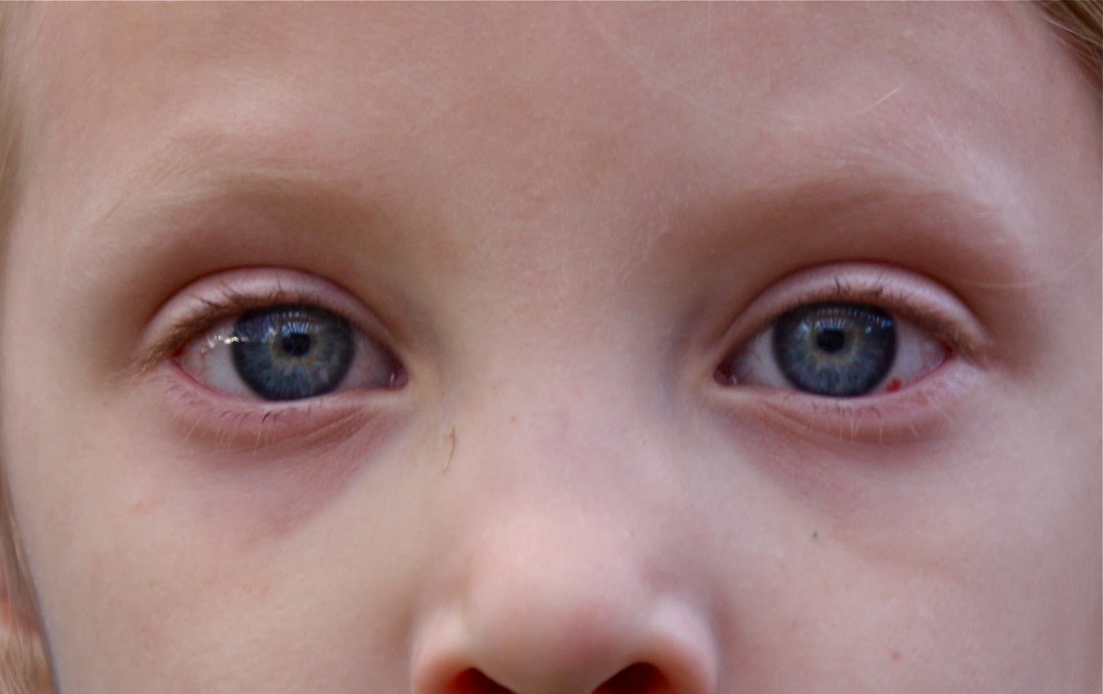 The Undomestic Goddess Pink eye in da houzz