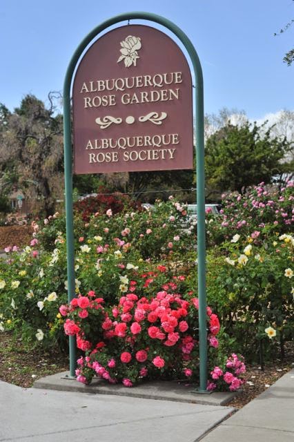 The Modern House Garden Albuquerque Rose Garden