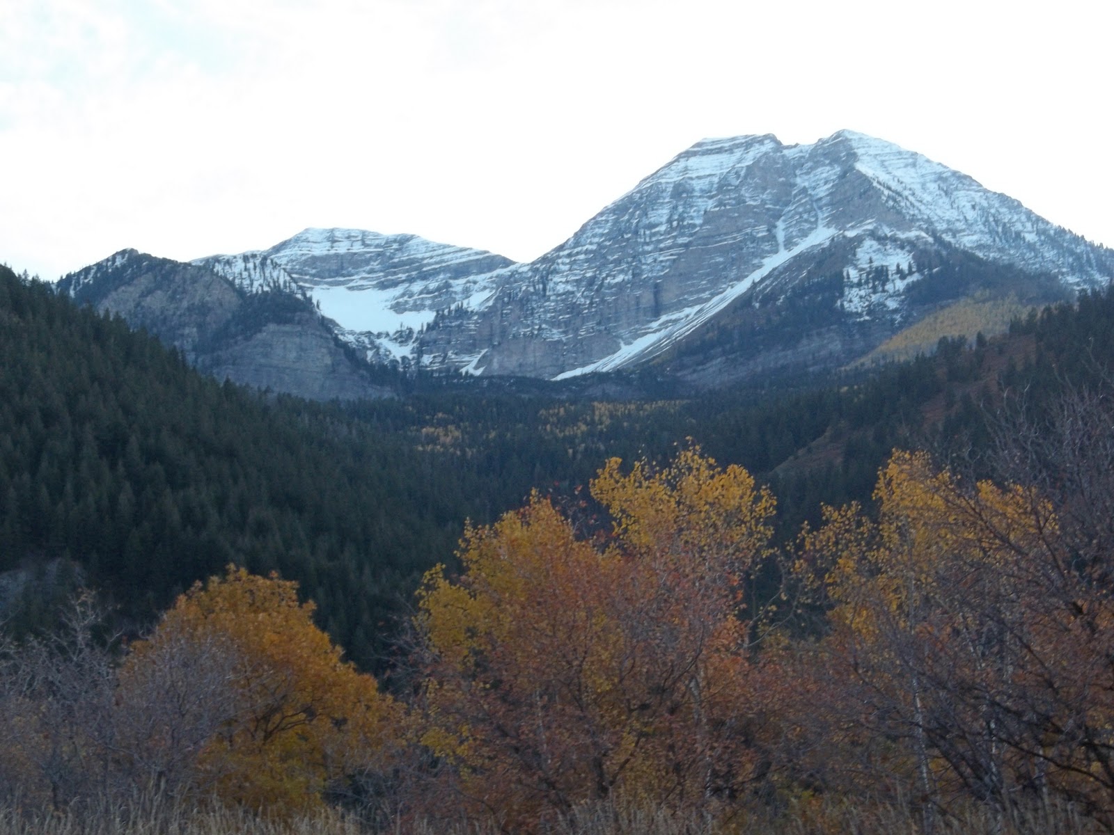 Bio Geo Nerd Mountains Rockies vs Cascades