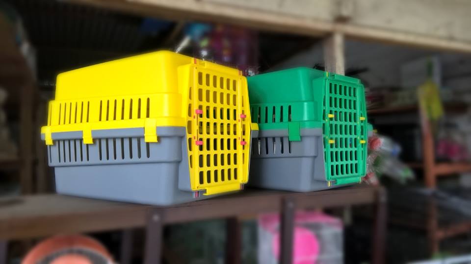 jual kandang dan perlengkapan kucing jambi hewan jual kandang dan perlengkapan kucing jambi hewan