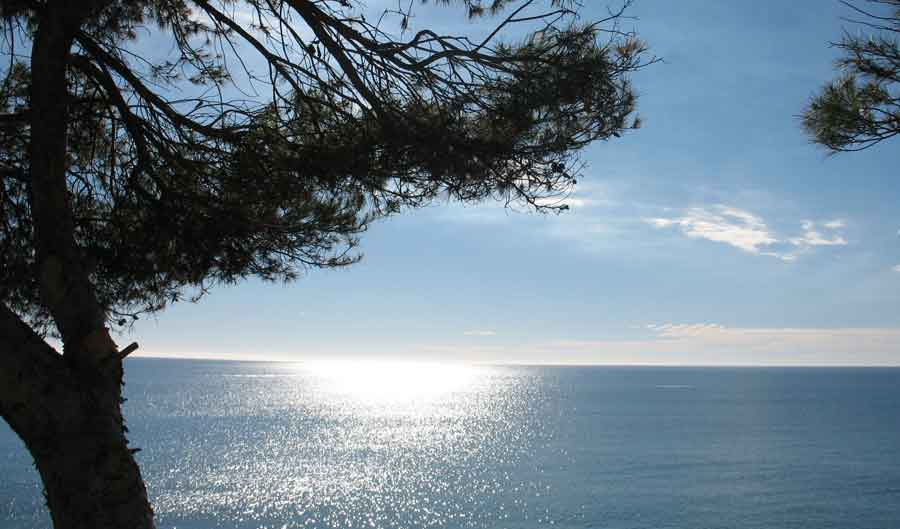 anne givaudan rencontre avec les êtres de la nature