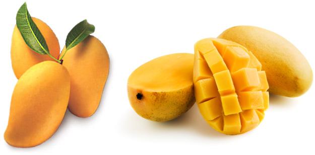benefits of mango benefits of mango