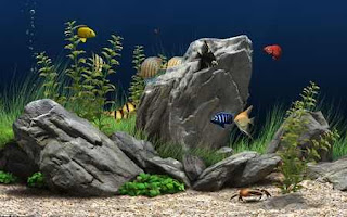 Dream Aquarium Screensaver Aquarium Virtual Wahyu Iwe