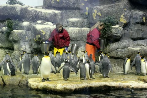 Life With The Depews Ryan And Connor S 3rd Birthday Party At The Moody Gardens Aquarium