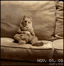 http://2.bp.blogspot.com/-1WzSvzYm9nM/Uy7tQBQ0t3I/AAAAAAAADmE/nJKgX_0wvzM/s1600/dancing-cat.gif