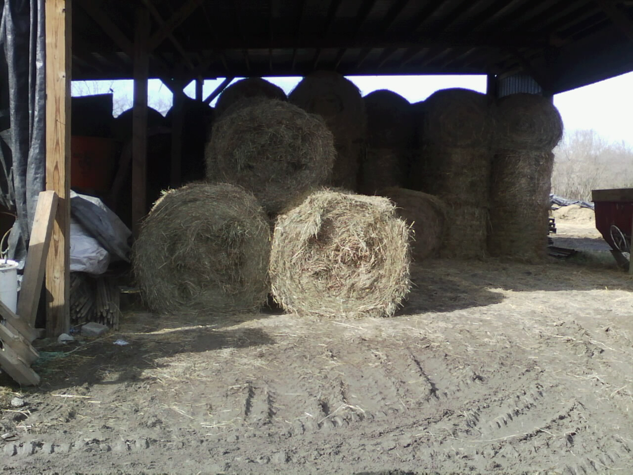 White House Farms Orchard Mixed Grass Horse Hay