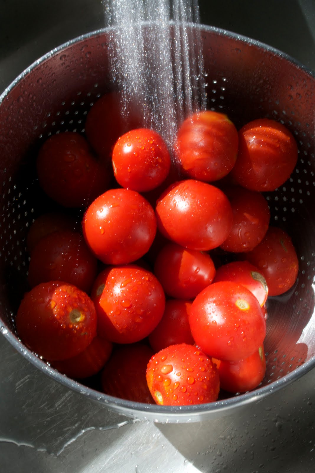 Equal Opportunity Kitchen Preserving Tomato Sauce